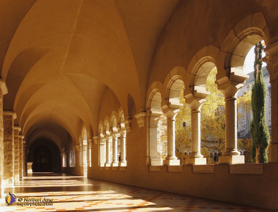 Nom de l'image : D1088470-nef-02-01_(c)Norbert-JUNG — Description :